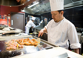 Peças de Contravetamento